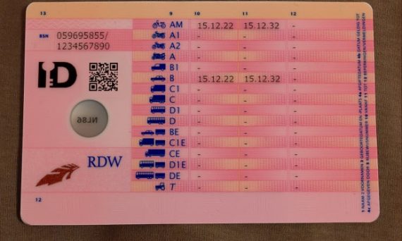 Nederlands rijbewijs